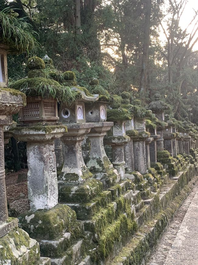 Kyoto