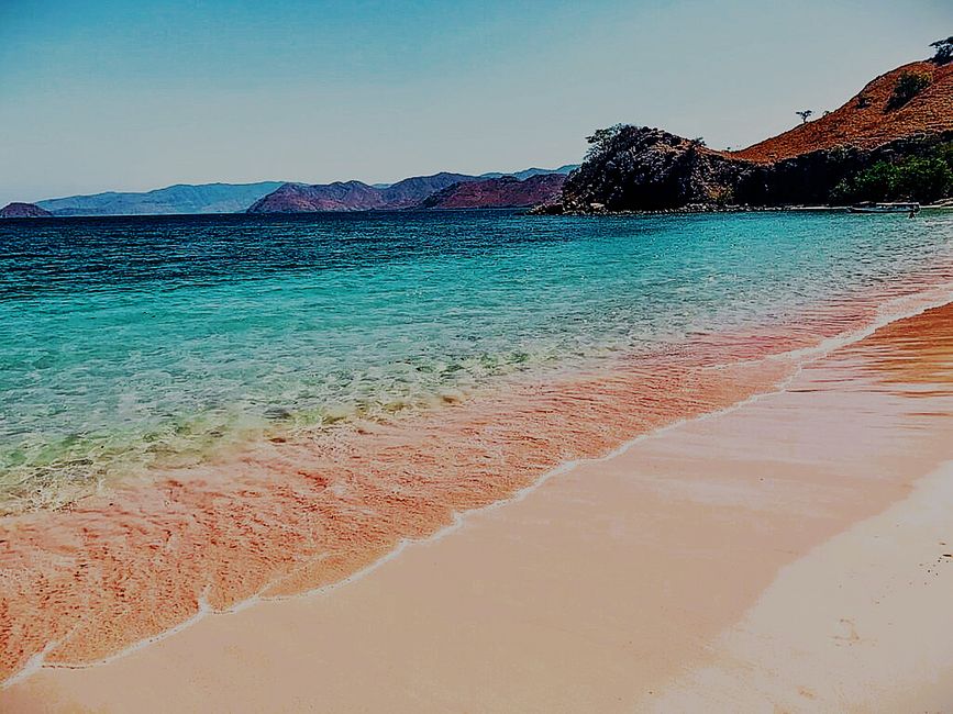 Komodo Nationalpark, Pink Beach