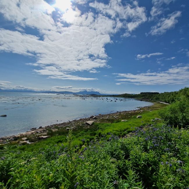 Lofoten