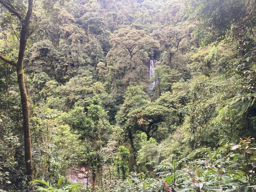 Monteverde
