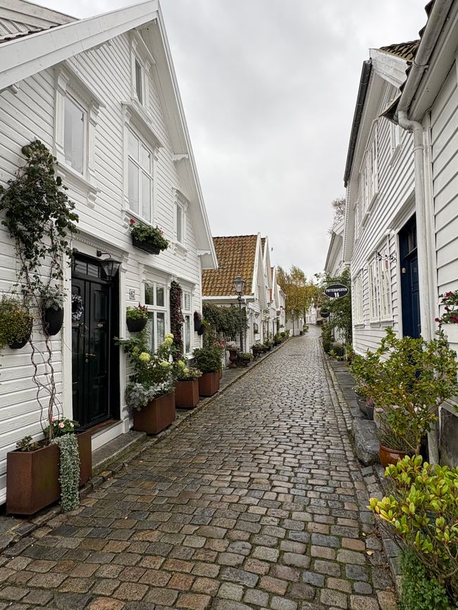 #5/6 - AIDAnova - Stavanger