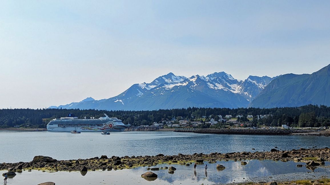 Águila en Lutak Inlet