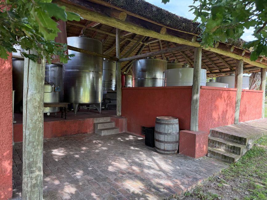 Etiqueta 13: Bodega El Legado