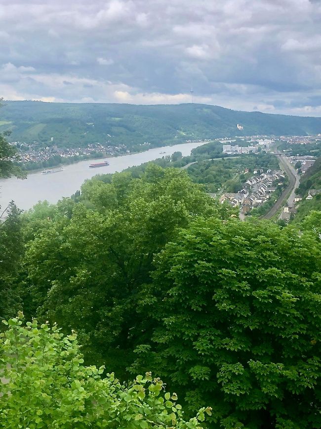 View of the Rhine from above.