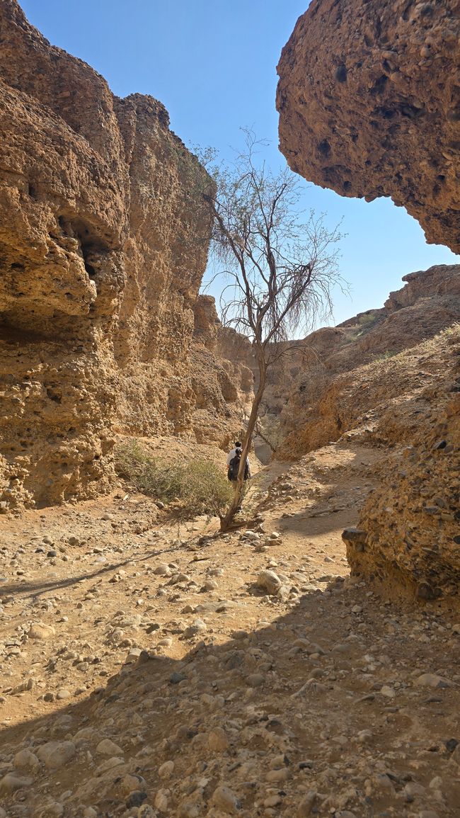Sesriem Canyon