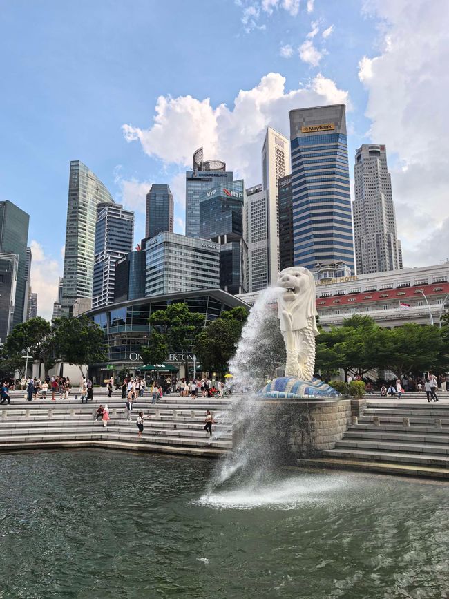 05.06.2026