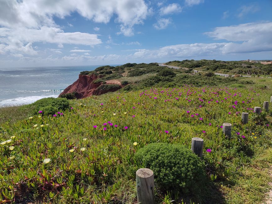 Vila do Bispo -> Carrapateira