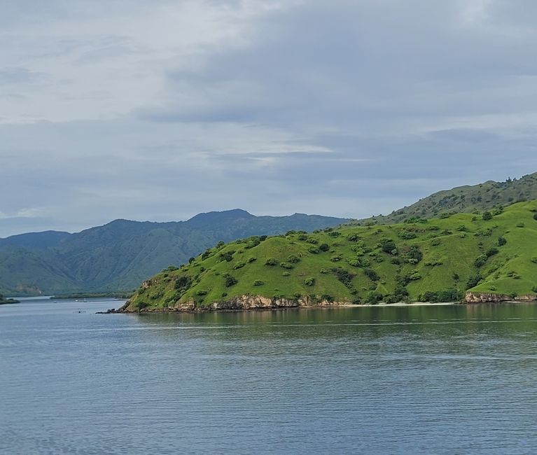 Day 110 of 175: Cruise around the world - Komodo/Indonesia