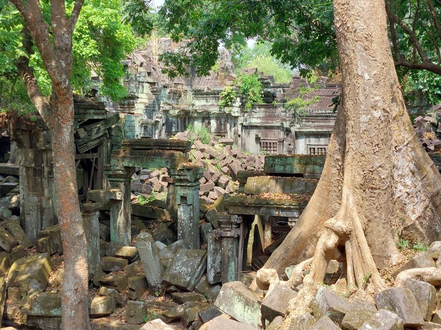 Temple de Beng Mealea