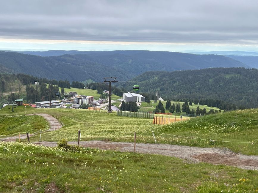 26 Feldbergsteig Escursione Pro Wolermoos