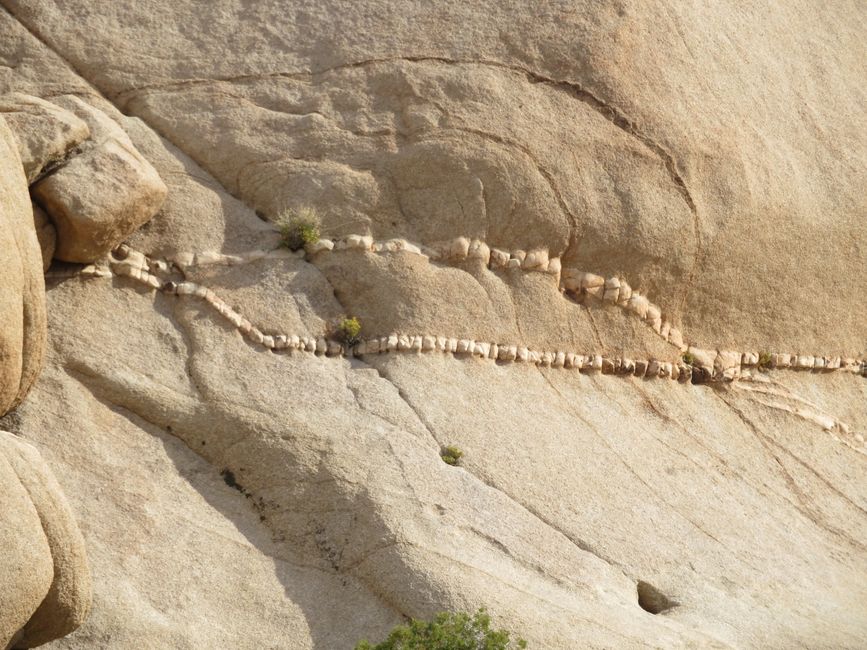 Joshua Tree National Park