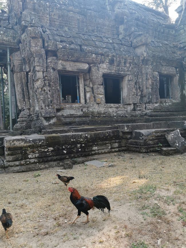 On Temple Tour in Siem Reap