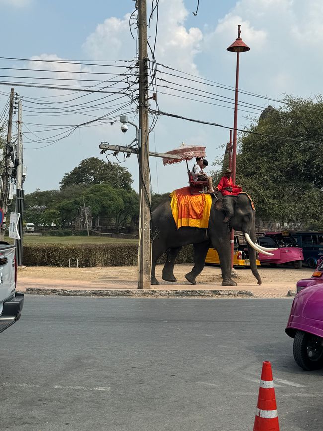 Ayutthaya