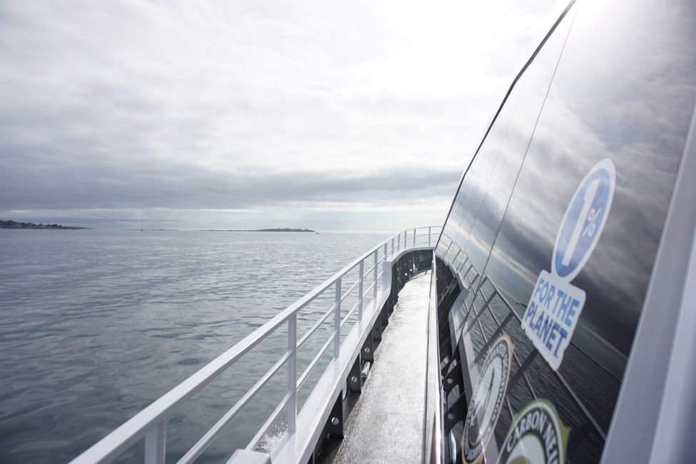 Day 18: Whale Watching