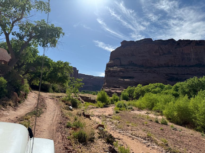 In the canyon
