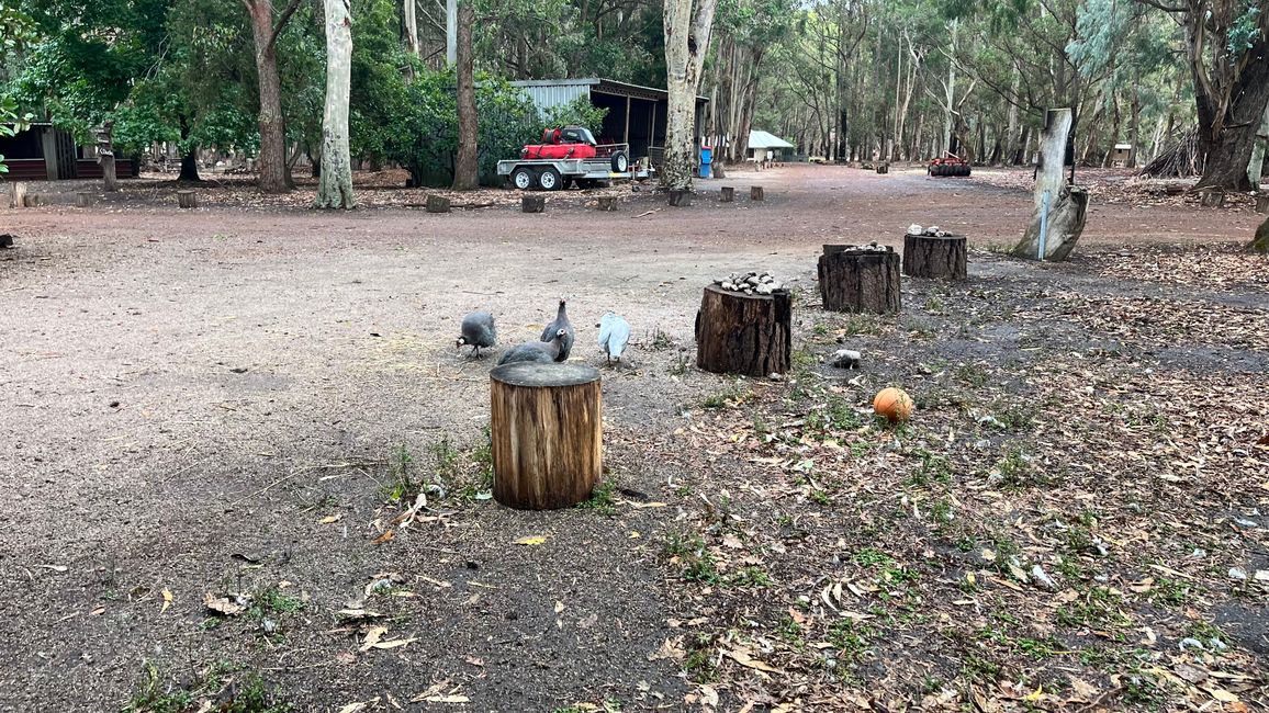 Margaret River