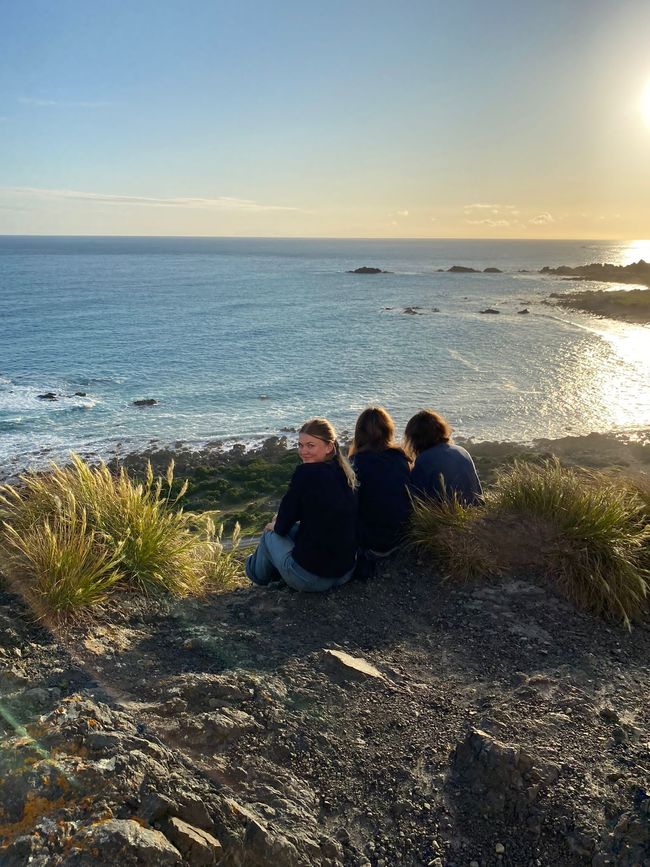 Cape Palliser