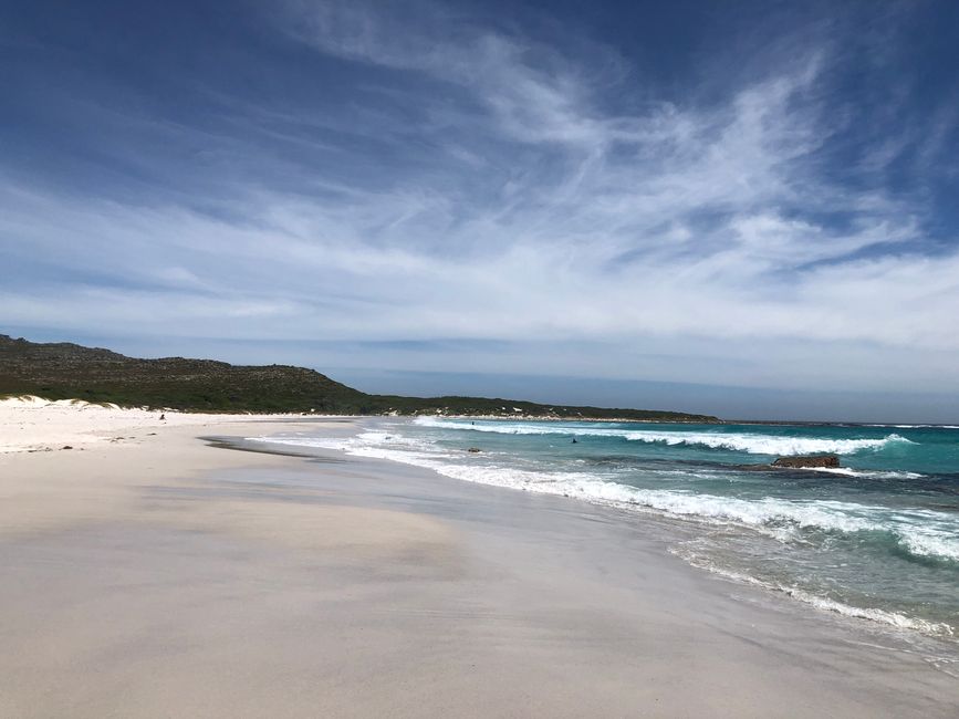 Scarborough Beach