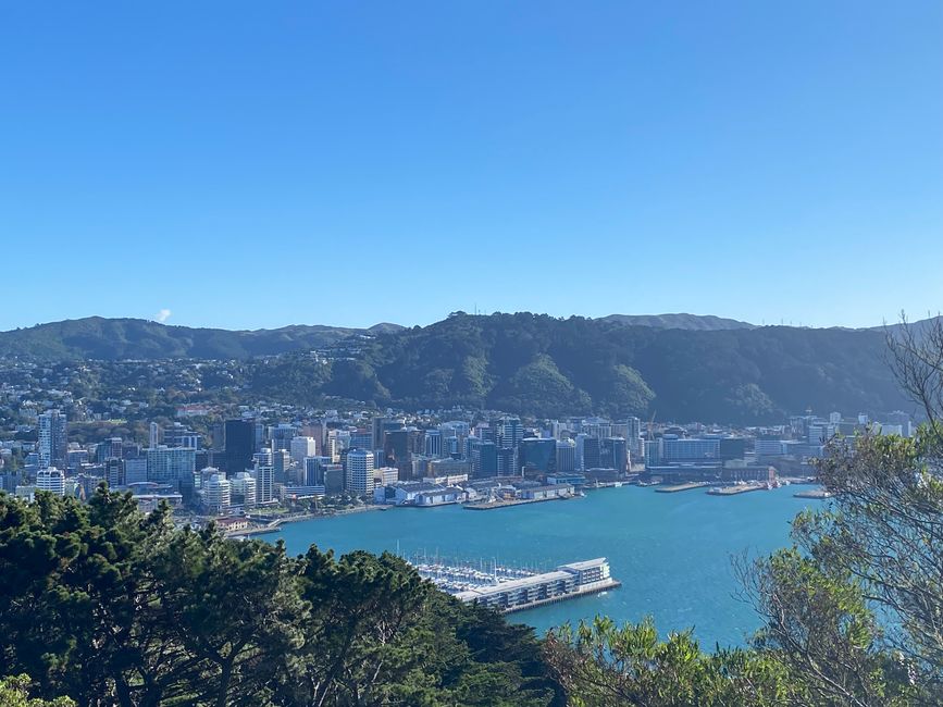 Wellington