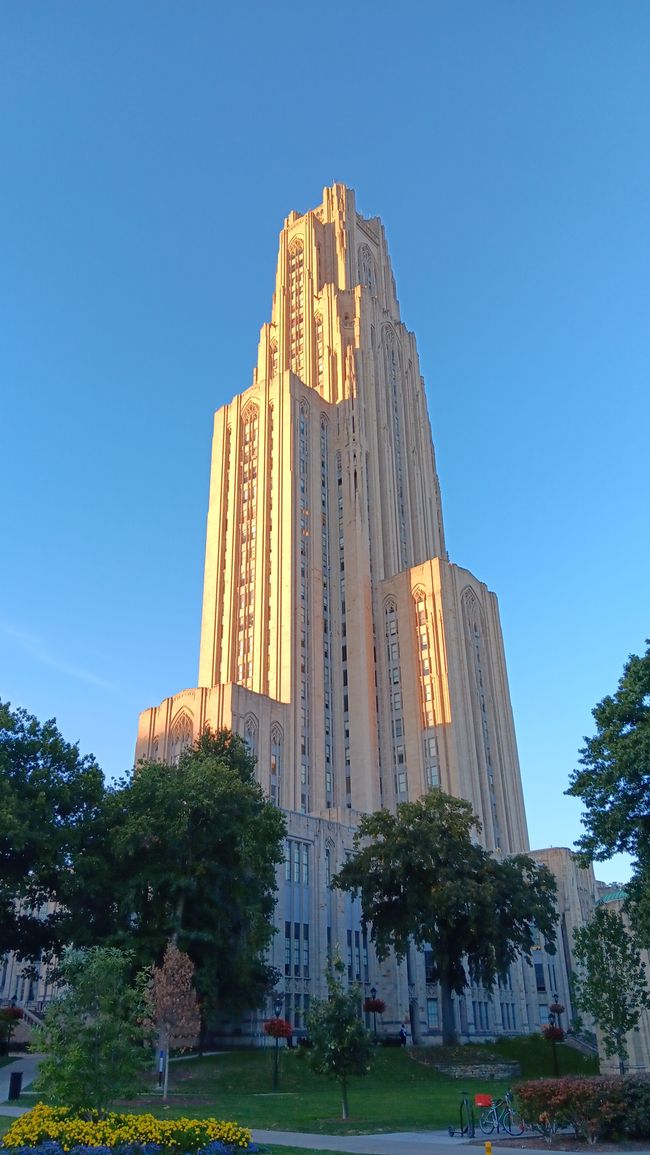 Università di Pittsburgh (Pitt)