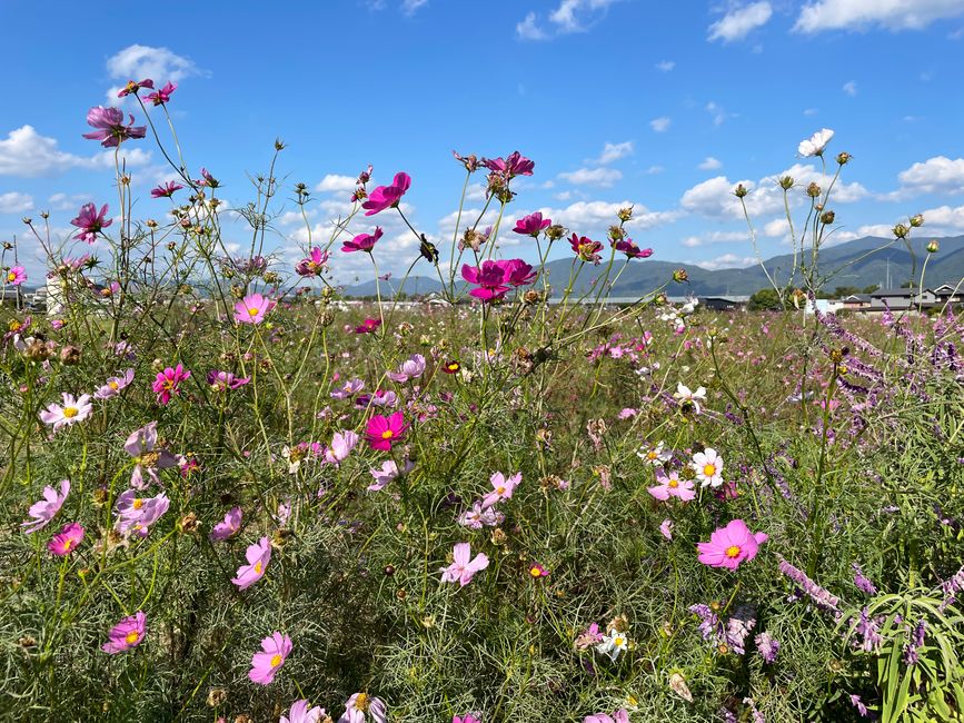 4.Kapitel: Ein bisschen vorzeitig ins Paradies