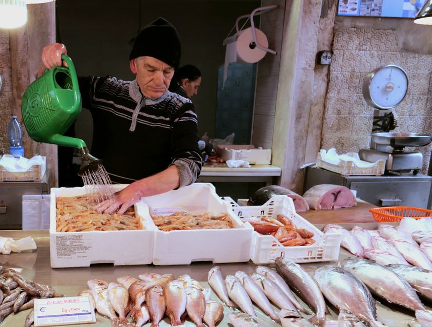 Frischer Fisch vom Markt 