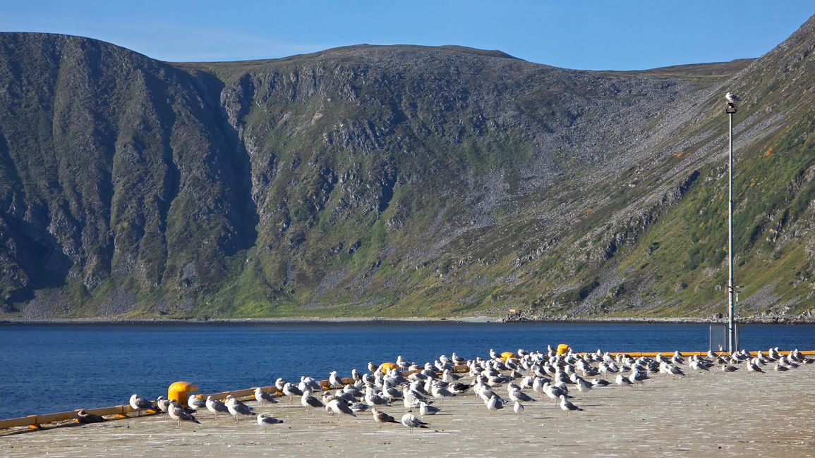 Norvegia-Capo Nord 1-17 Settembre 2025
11 Settembre