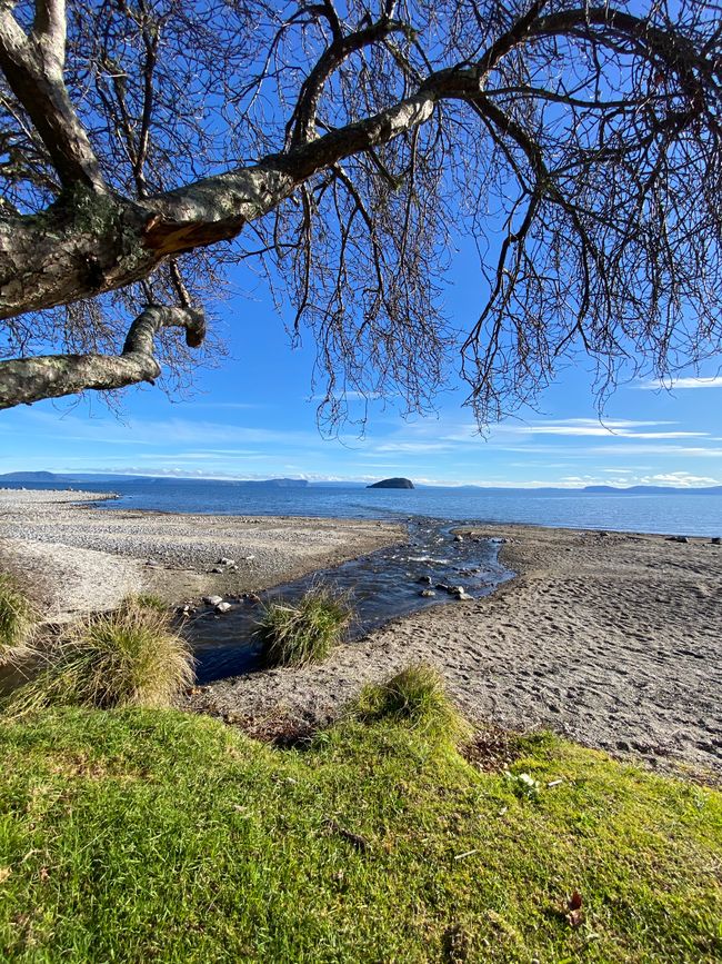 West to East - Napier