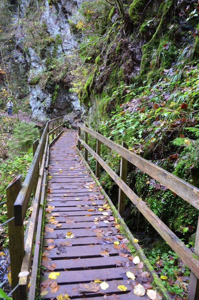 Autumn hiking in the Wutach Gorge: Red, yellow, orange... and you're right in the middle!