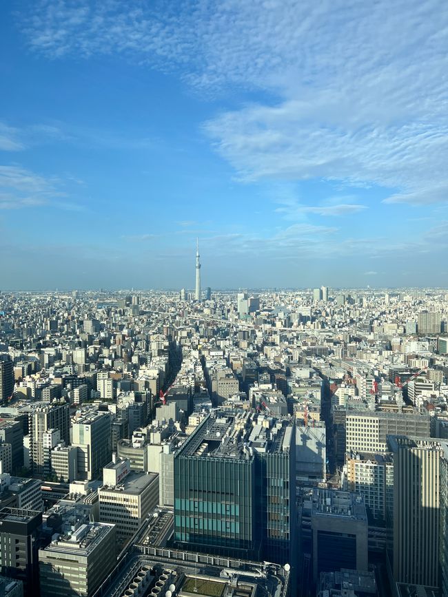 Japan (Tag 126 - 142)