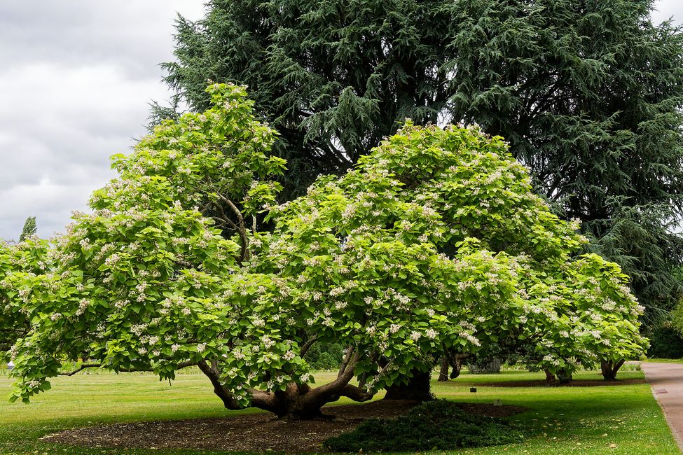 Parc Floral de La Source
