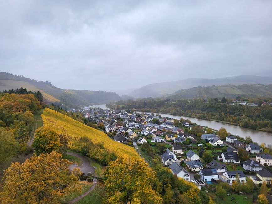 Ausblick von der Burg