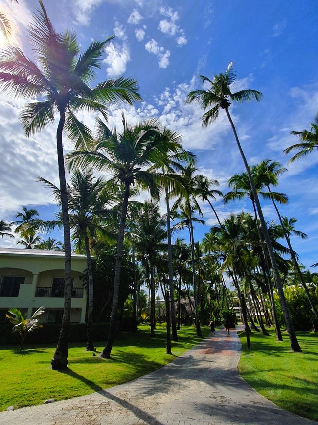 Punta Cana