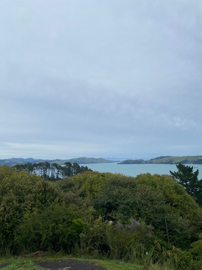 Coromandel loop