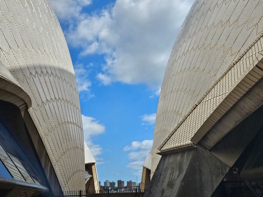 59th Day Sydney, Australia 22.01.2026