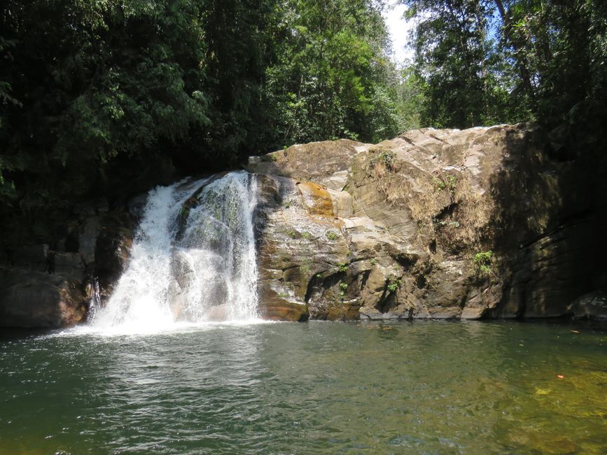 Sinharaja - l'ultima foresta pluviale dello Sri Lanka