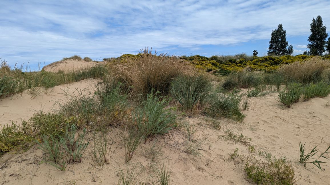 4. Etappe Camino del Norte von Liendo nach Santona