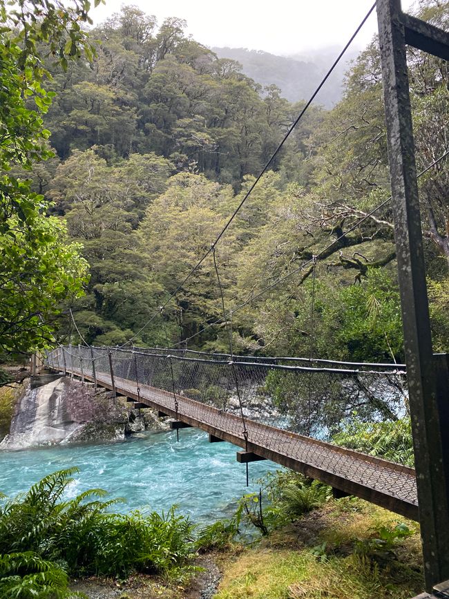 Road trip to Milford Sound