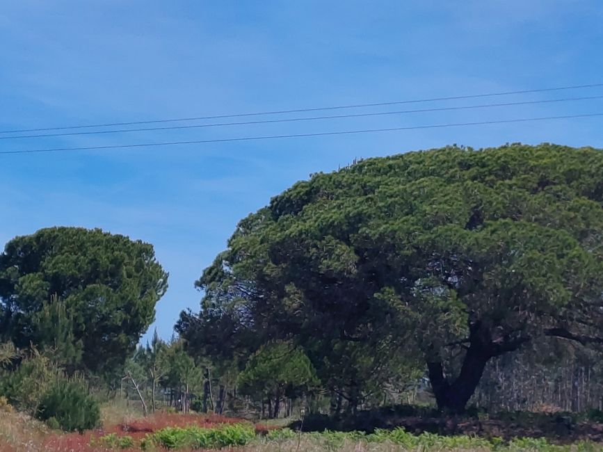 Aljezur -> Odeceixe