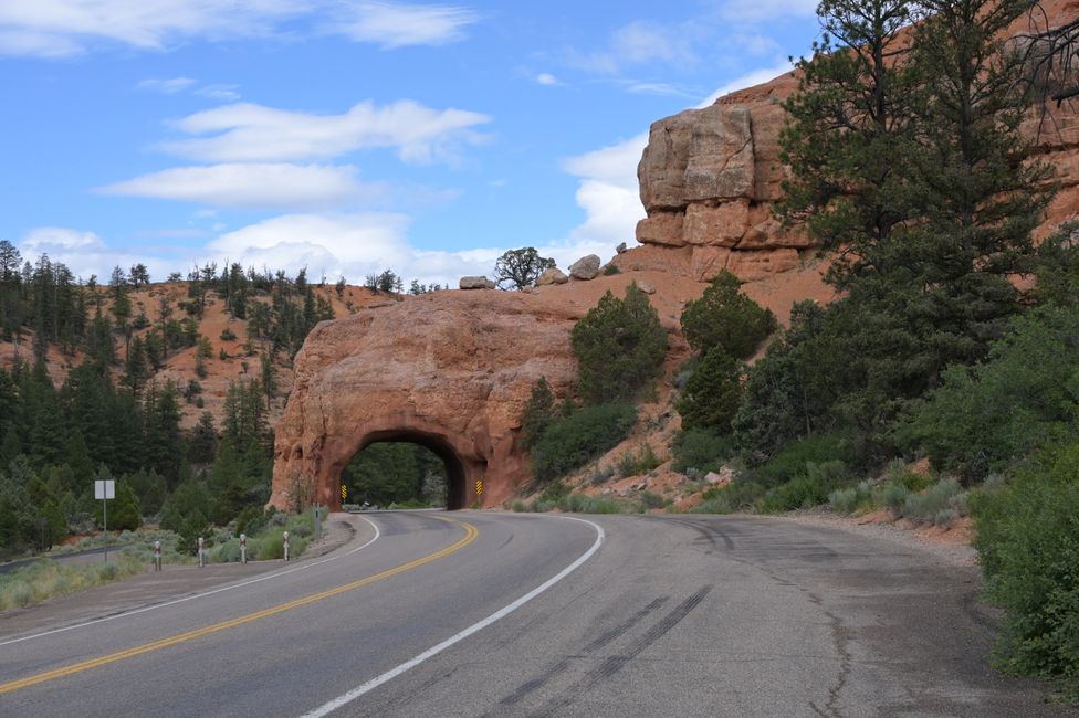 Red Canyon