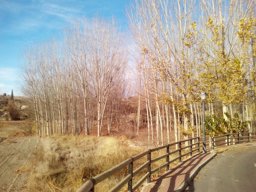 Fotos de Castilléjar (de los Ríos) (Granada) (diciembre 2022) (parte 1)