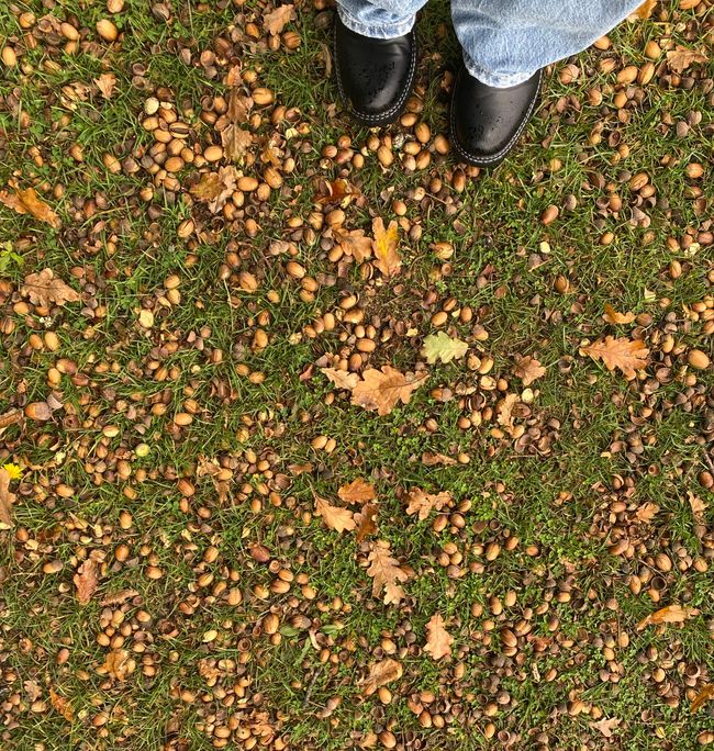 Lets do some Sightseeing