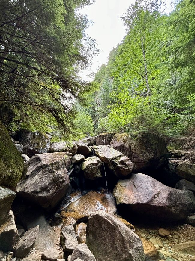 Sendero del Primer Pico