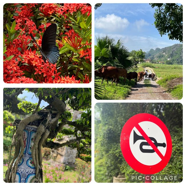 Eine volle Ladung Ninh Binh (Teil 1)