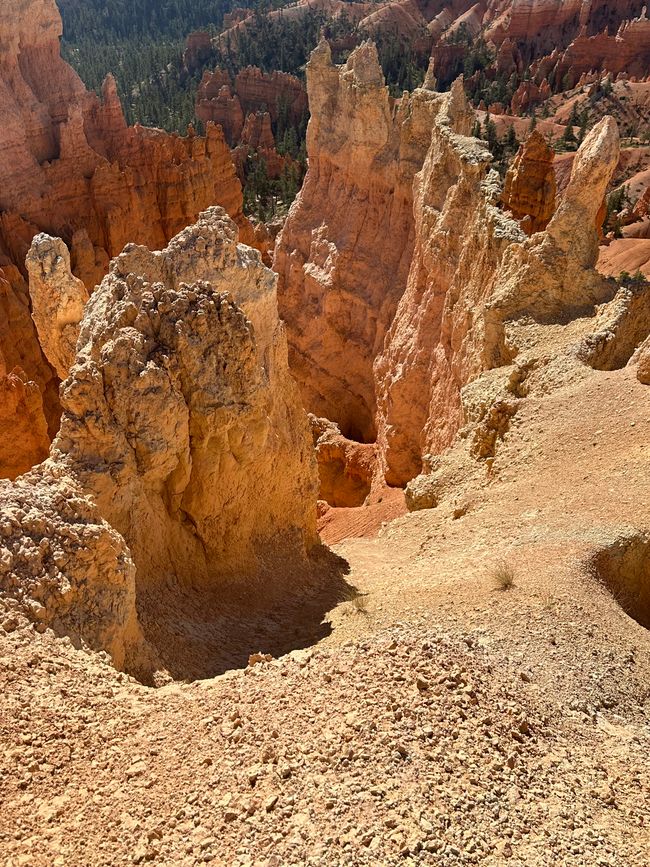 Canyon Land: Zion and Bryce Canyon❤️