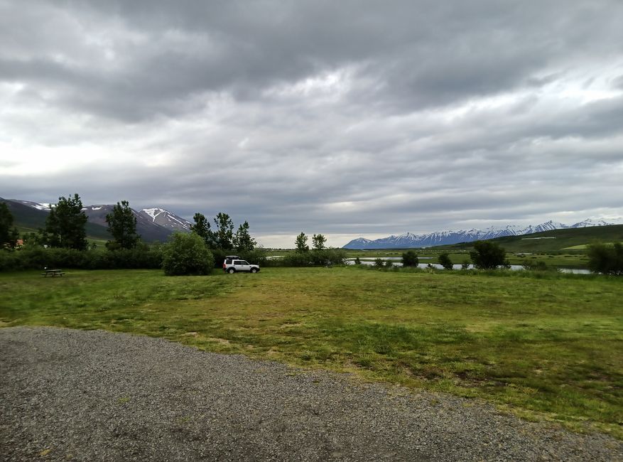 Dalvik