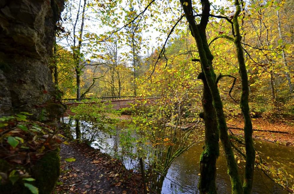 Autumn hiking in the Wutach Gorge: Red, yellow, orange... and you're right in the middle!