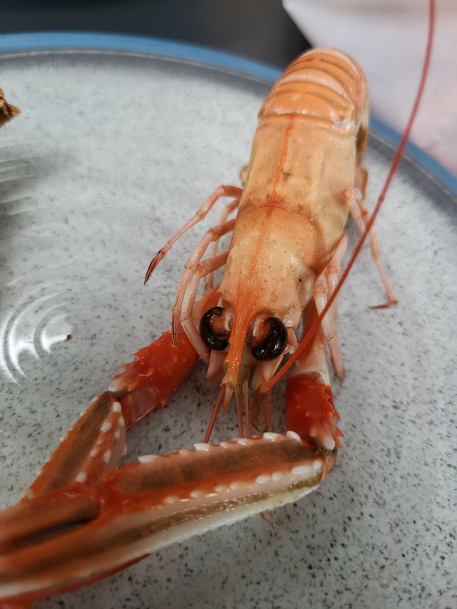 TAG 6 - Tréguier - come da pesce -> torta è stata fatta