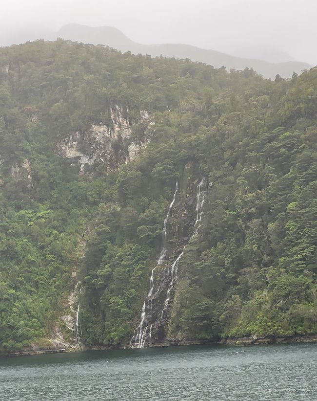 Tag 85 von 175: Kreuzfahrt rund um die Welt  - Routenänderung  wegen der Wetterbedingungen  - Kreuzen im Dusky Sound und Breaksea Sound/Neuseeland