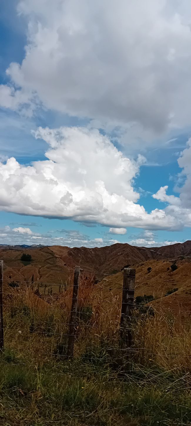 Autoroute du Monde Oublié / République de Whangamomona
